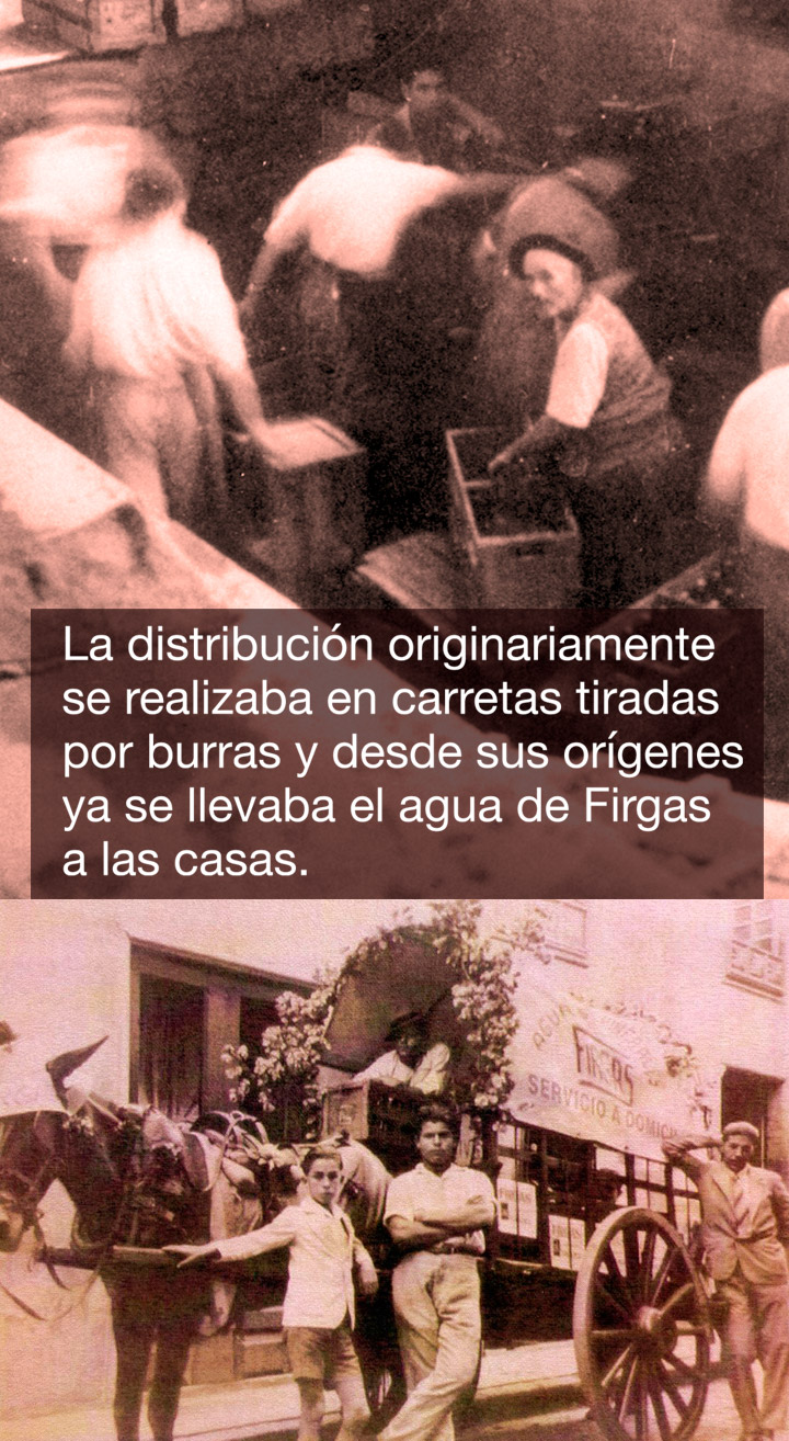 2_distribucion_m