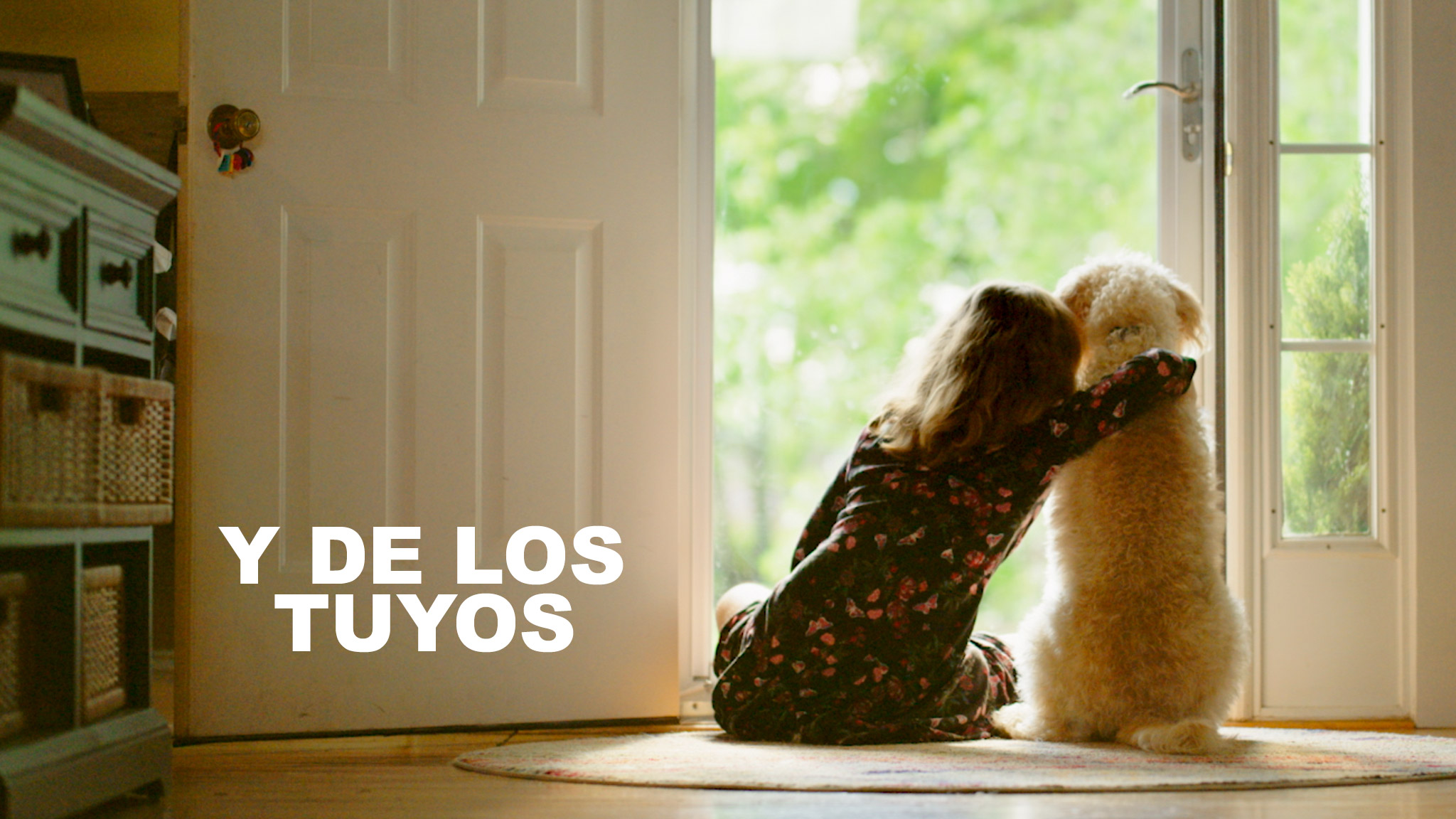 slider3_ydelostuyos